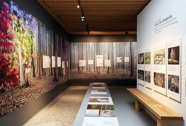 展廳設(shè)計(jì)的靈魂密碼：如何精準(zhǔn)提煉核心元素？