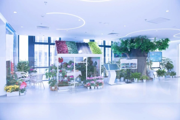 北京園林集團智慧展廳設計